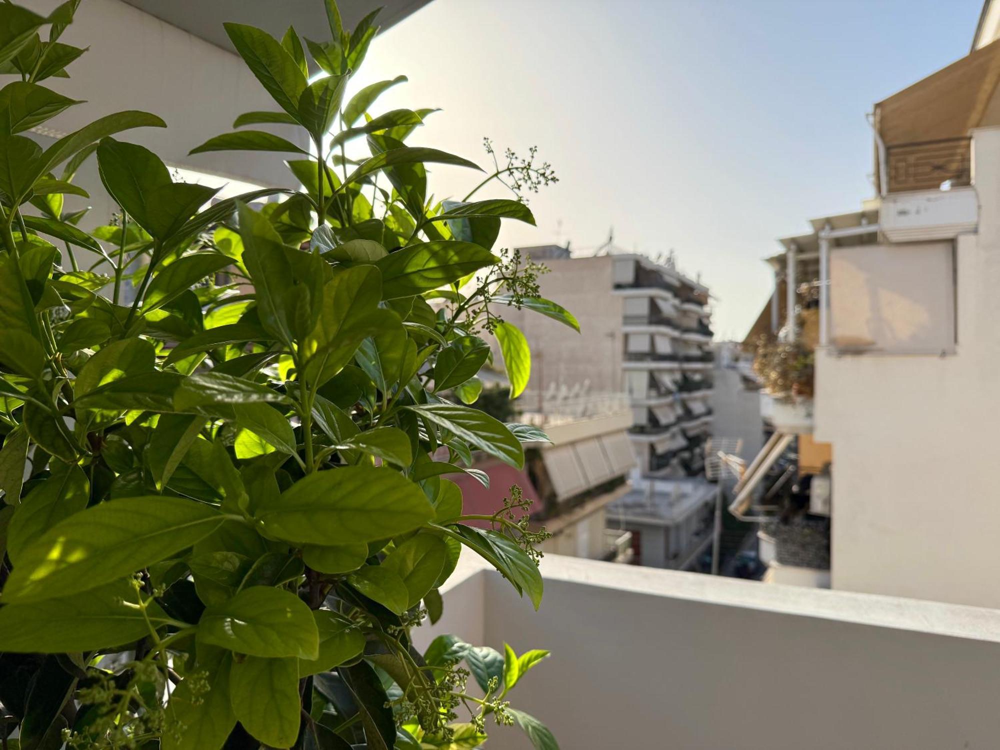 P&P Boutique Apartments Athènes Extérieur photo