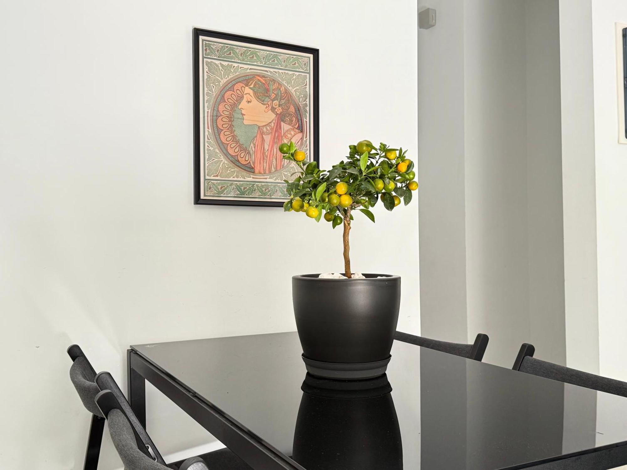P&P Boutique Apartments Athènes Extérieur photo